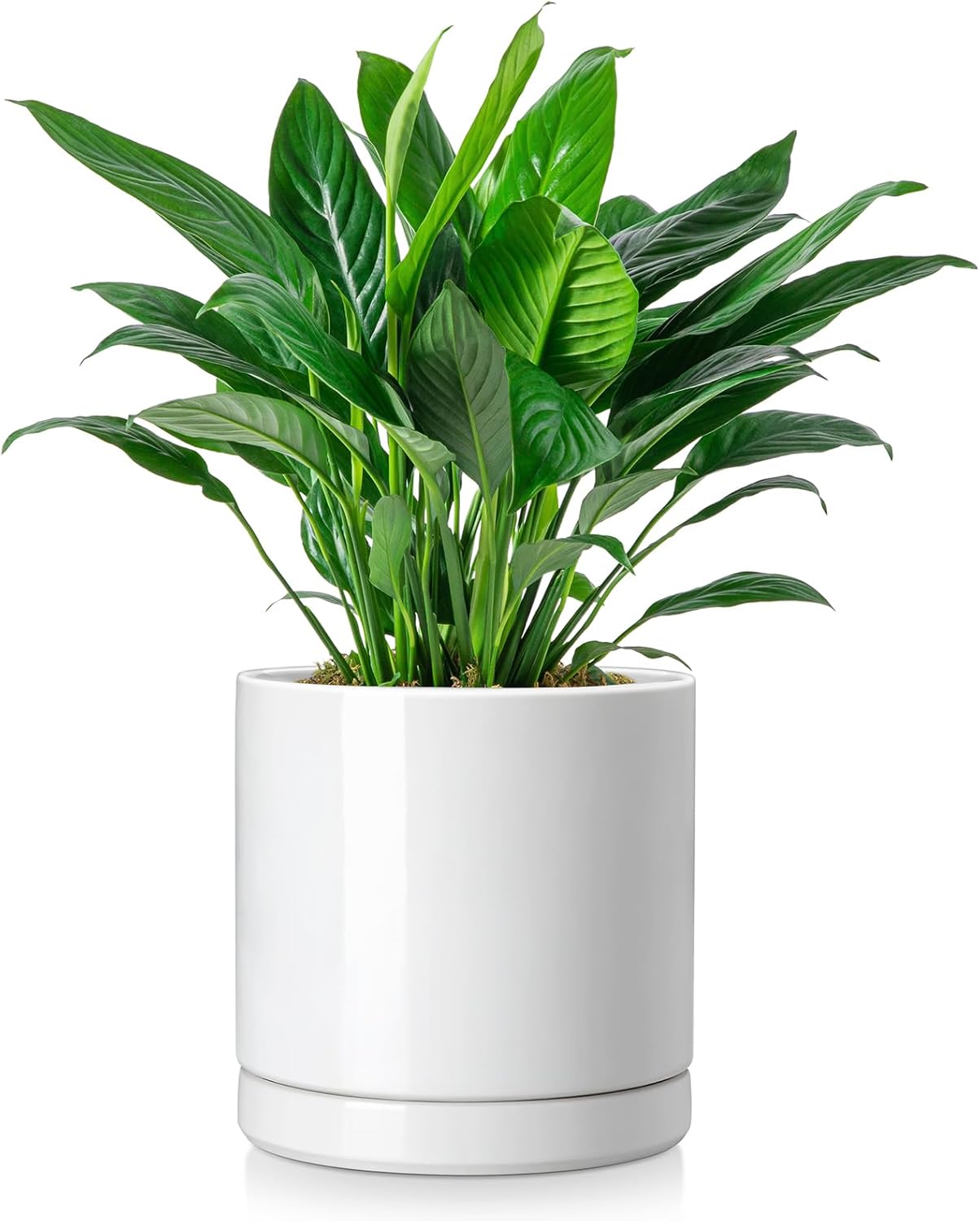 vancasso Ceramic Plant Pots, 6.25 Inch Ceramic Pot for Plants, Planters Pots for Indoor Plants with Drainage Holes, Flower Pot for Indoor House Plant, White